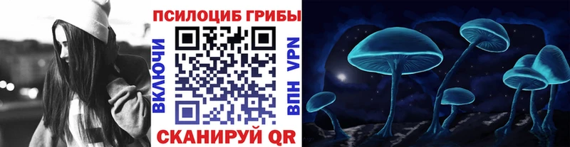 Псилоцибиновые грибы ЛСД  мега онион  shop как зайти  Гаджиево 